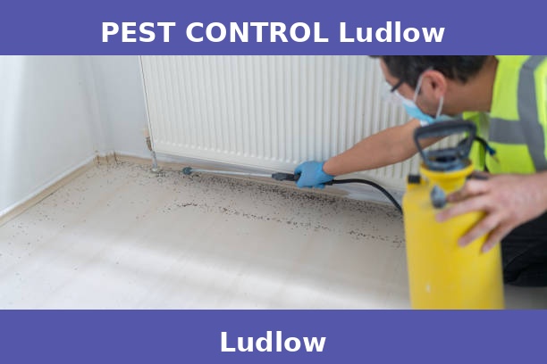 PEST CONTROL Ludlow